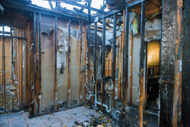 Professional Smoke Damage Removal technician working in Spring, TX