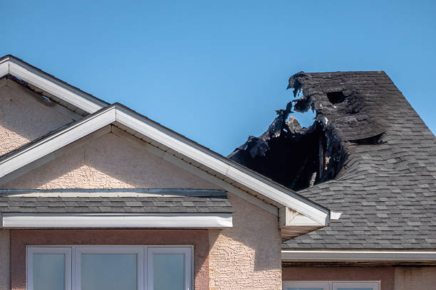Top rated local Smoke Damage Removal specialists in Spring, TX